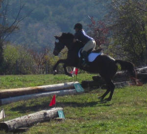 Virginia Horse Trials 2009
