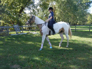 diva walking